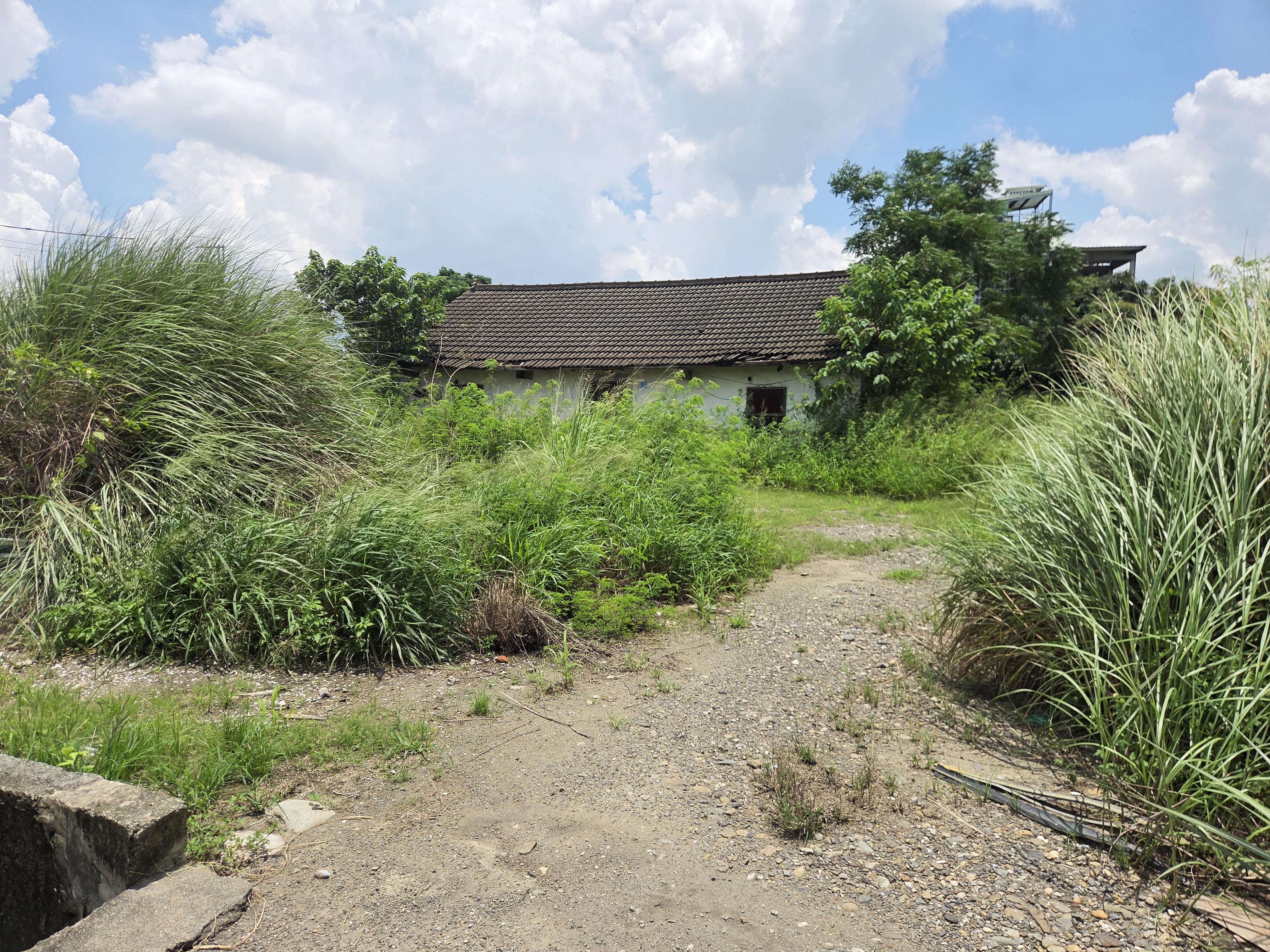 芬園嘉北段農建地